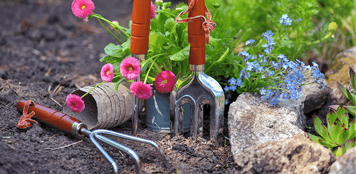 Garden tools resting among spring blooms and fresh soil