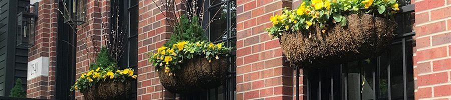 Hayrack window baskets overflowing with yellow blooms on a brick storefront