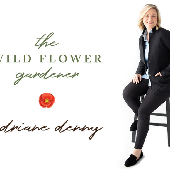 Intro to The Wild Flower Gardener