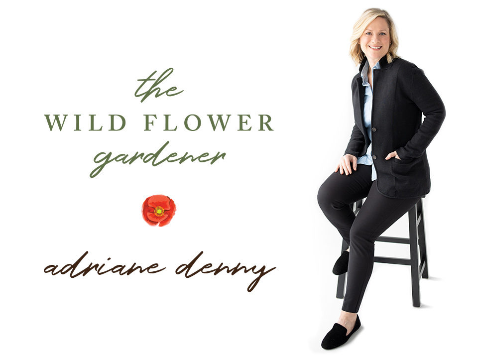 Intro to The Wild Flower Gardener